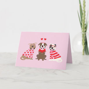 Thank You Valentines Day American Pit Bull Terrier Card