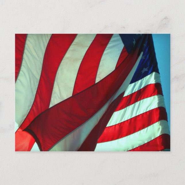 Thank You  ... Veterans Day Postcard (Front)