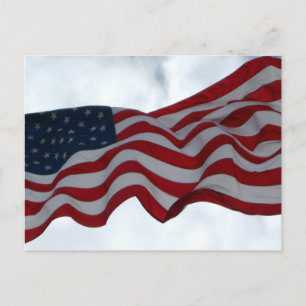 Thank You ... Veterans Day Postcard