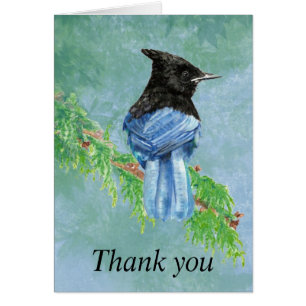 Thank you Watercolor Stellar Jay Bird Nature