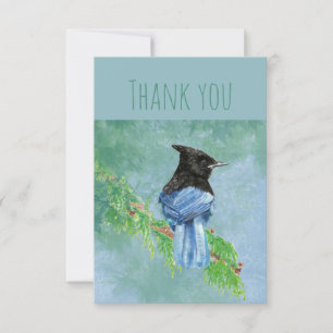 Thank You Watercolor Stellar Jay Bird Nature Art Card