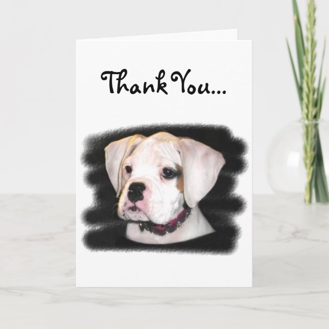Thank You white boxer puppy greeting card (Front)