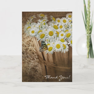 thank you-white daisies and butterfly thank you card