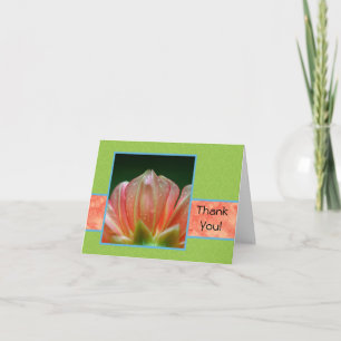 Thank You With Orange Dahlia Flower Petals Card