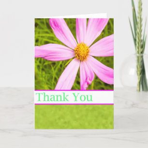 Thank You With Pink Cosmos Flower Card