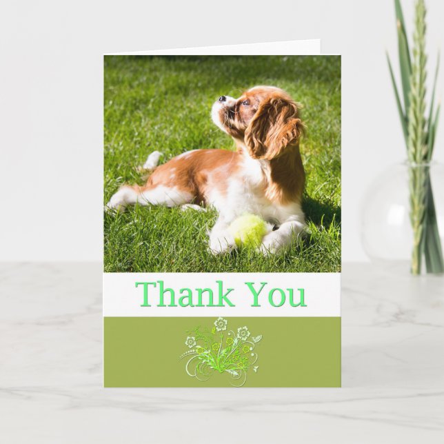 Thank You With Puppy Cavalier King Charles Card (Front)