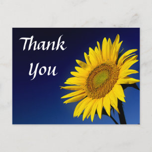Thank You Yellow Sunflower Greeting Postcard