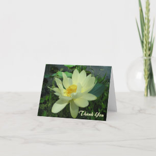 Thank You yellow water lily flower Card