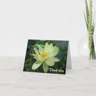 Thank You yellow water lily flower Card
