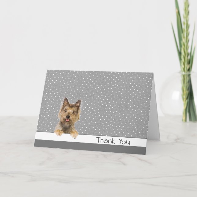 Thank You Yorkshire Terrier on Polka Dots (Front)