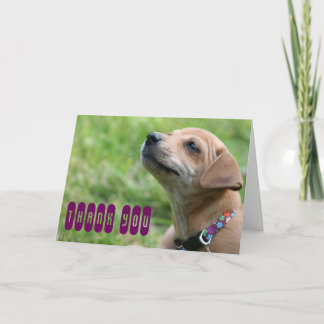 Thank you! you card