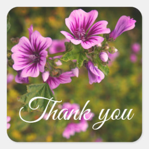 Thank You Zebra Hollyhock Flowers #2 Stickers