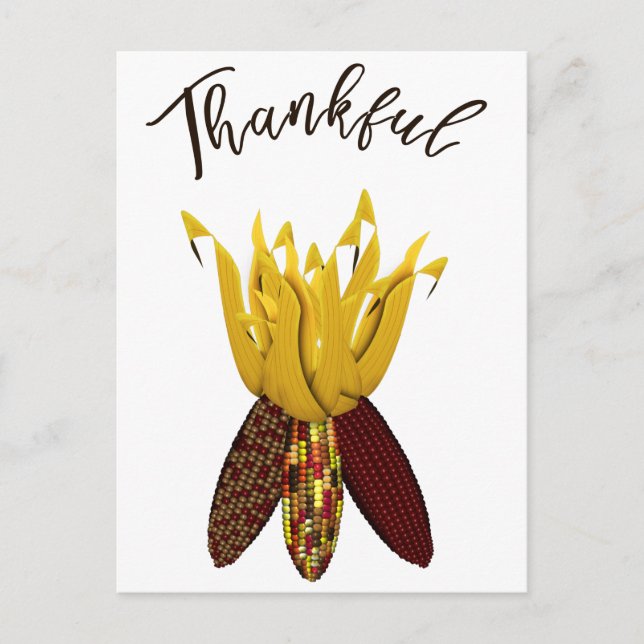 Thankful - Colourful Autumn Indian Corn Postcard (Front)