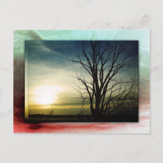 Thankful for You! Postcard