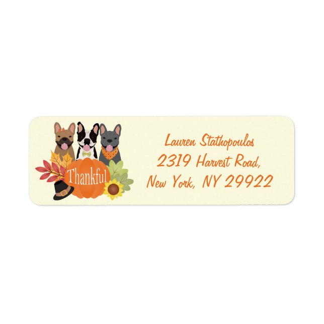 Thankful French Bulldogs Thanksgiving (Front)