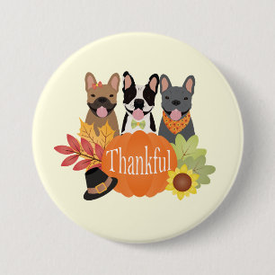Thankful French Bulldogs Thanksgiving 7.5 Cm Round Badge