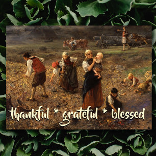 Thankful Grateful Blessed Potato Harvest L. Knaus Holiday Card