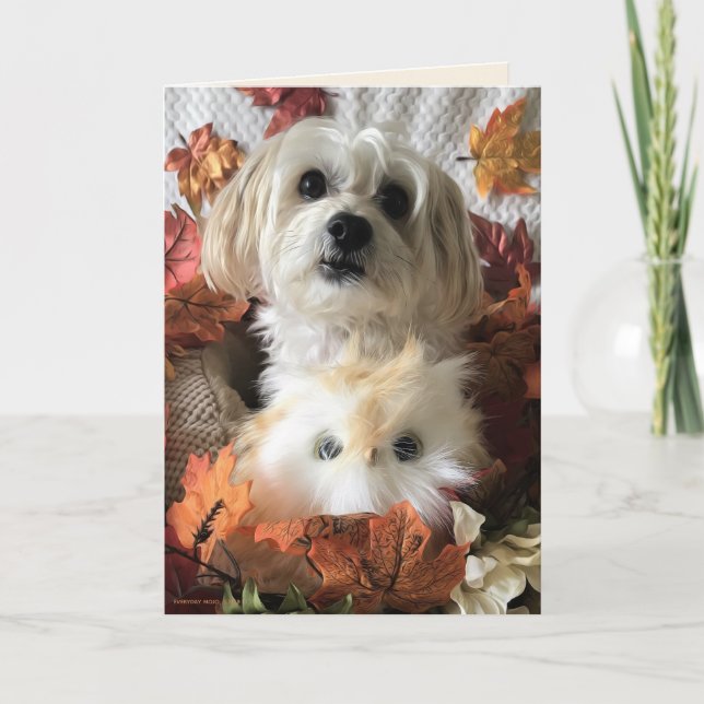 Thankful Morkie II - Blank Card (Front)