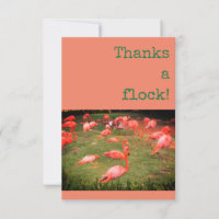 Thanks a flock! Flamingo Thank You Card