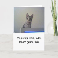 Thanks for all that you do!