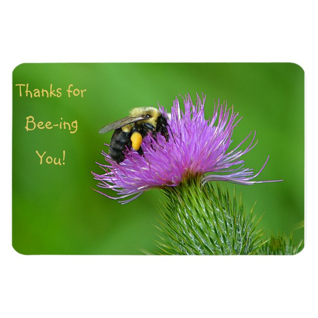 Thanks For Bee-ing You Magnet (Horizontal)