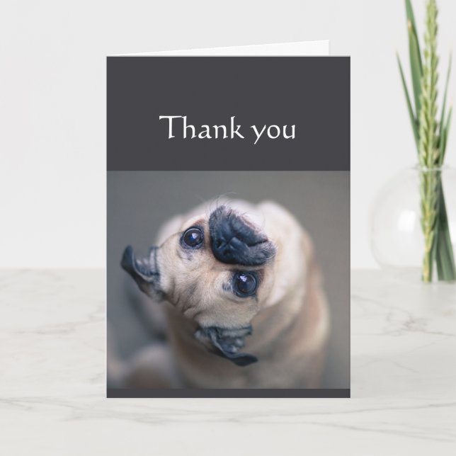 Thanks for being so Awesome Fun Pug Dog Animal Card (Front)