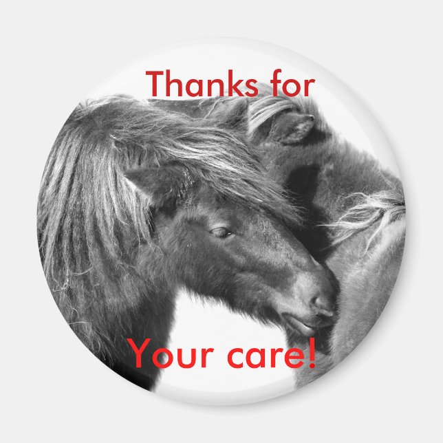 Thanks for Your care! Ponies scratching magnets (Front)
