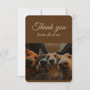 Thanks From All of Us Group Fun Dogs Pet Animals Thank You Card