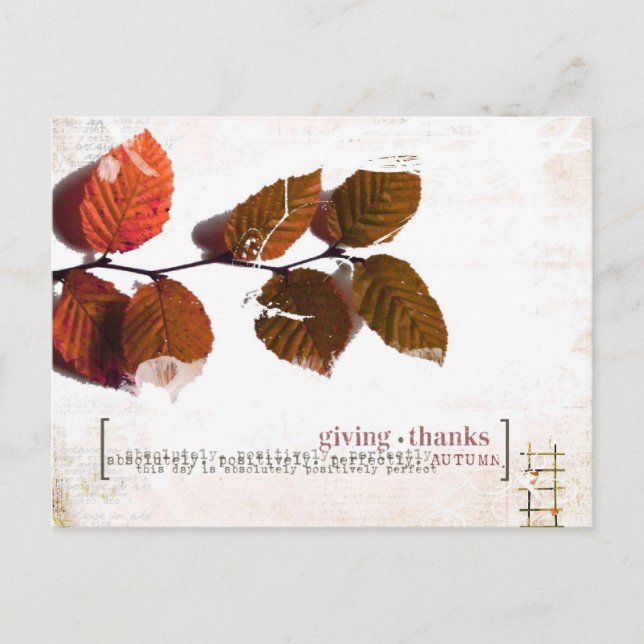 thanks giving post card (Front)