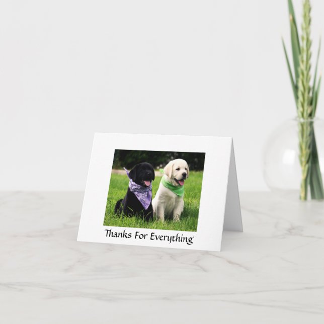 Thanks  Labrador Retriever Puppies Greeting Card (Front)