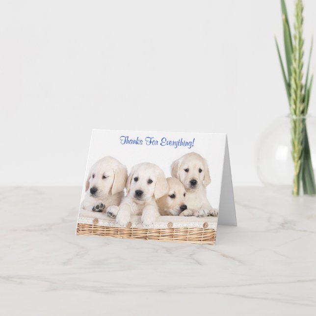 Thanks Labrador Retriever Puppy Dogs Card (Front)