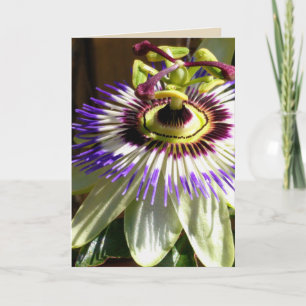 Thanks or Whatever Thank You Card