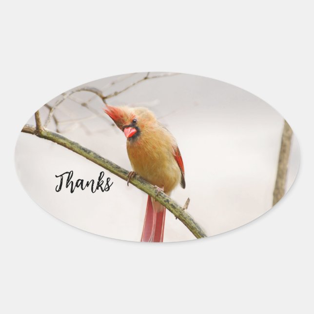 Thanks  oval sticker (Front)