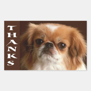 Thanks Pekingese Puppy Dog Greeting Stickers