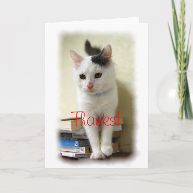 Thanks, Teacher, Kitten on Books Card (Front)