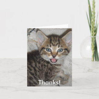 Thanks! Thank You Card
