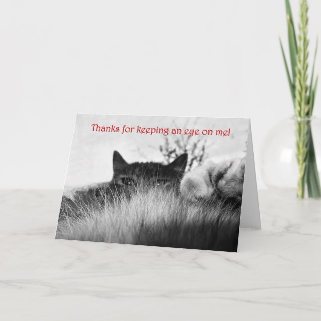 Thanks Thank You Card (Front)