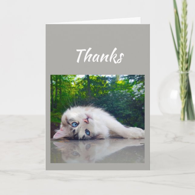 Thanks, Thank you Silly Cat Card (Front)