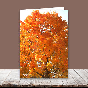 Thanksgiving Across the Miles Cards