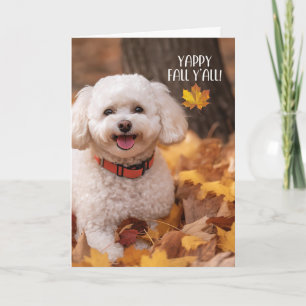 Thanksgiving Bichon Frise Dog with Autumn Leaves Holiday Card