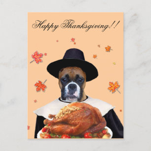 Thanksgiving boxer dog postcard