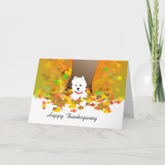 Thanksgiving Card - Happy Thanksgiving Westie