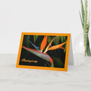 Thanksgiving Card with Bird of Paradise