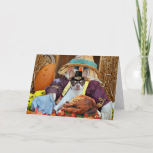 Thanksgiving Chihuahua dog greeting Card