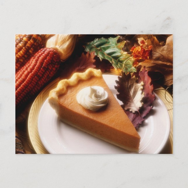 Thanksgiving Day Holiday Postcard (Front)