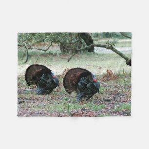 Thanksgiving Day Wild Turkeys in an Open Field Fleece Blanket