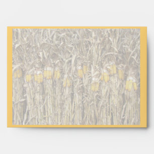 Thanksgiving Dried Corn Stalk Decorations Envelope
