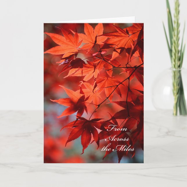 Thanksgiving from across the miles card (Front)