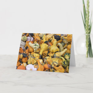Thanksgiving Gourds Holiday Card