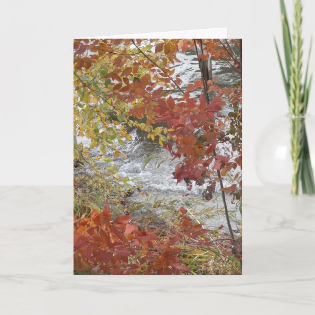 Thanksgiving greeting card (Front)